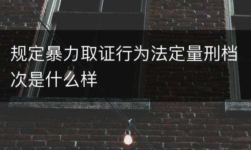 规定暴力取证行为法定量刑档次是什么样