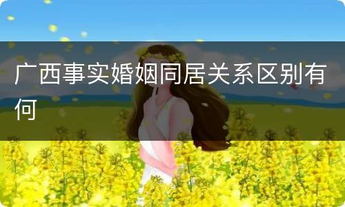 广西事实婚姻同居关系区别有何