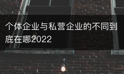 个体企业与私营企业的不同到底在哪2022