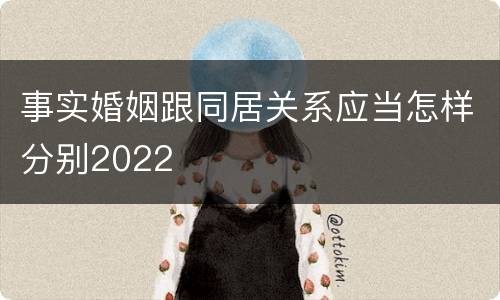 事实婚姻跟同居关系应当怎样分别2022