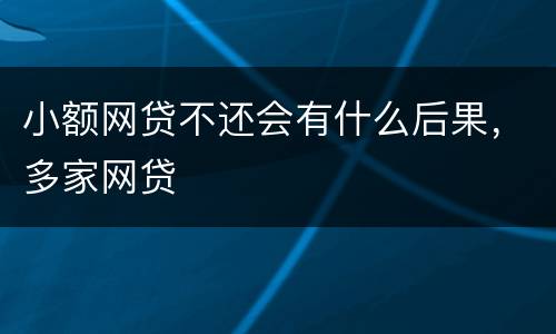 小额网贷不还会有什么后果，多家网贷