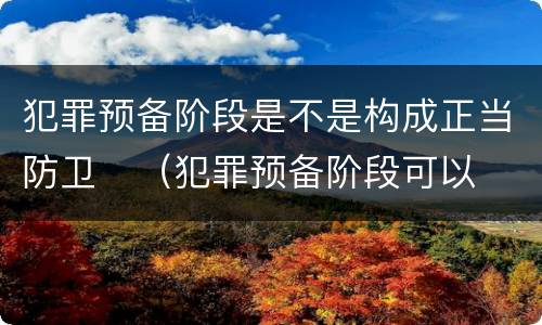 犯罪预备阶段是不是构成正当防卫	（犯罪预备阶段可以正当防卫吗）