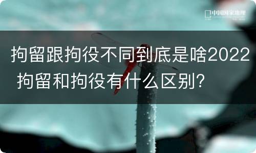 拘留跟拘役不同到底是啥2022 拘留和拘役有什么区别?