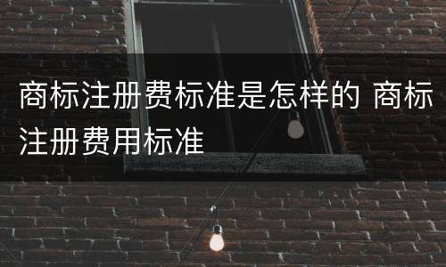 商标注册费标准是怎样的 商标注册费用标准