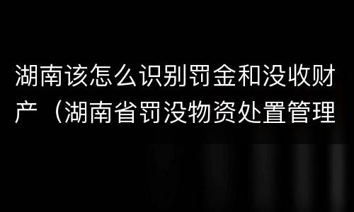 湖南该怎么识别罚金和没收财产（湖南省罚没物资处置管理办法）