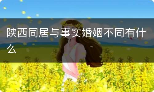 陕西同居与事实婚姻不同有什么