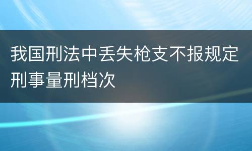 我国刑法中丢失枪支不报规定刑事量刑档次