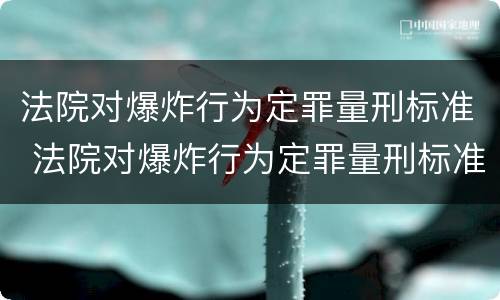 法院对爆炸行为定罪量刑标准 法院对爆炸行为定罪量刑标准是