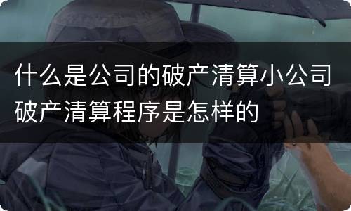 什么是公司的破产清算小公司破产清算程序是怎样的