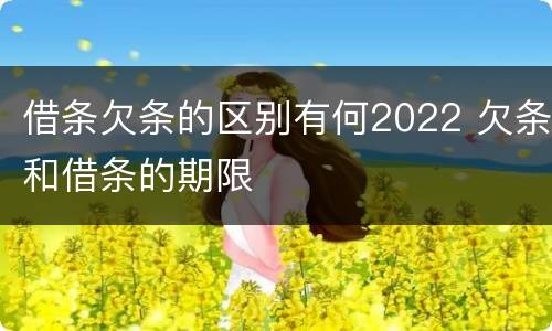 借条欠条的区别有何2022 欠条和借条的期限