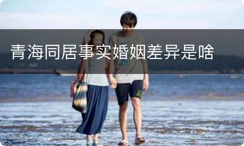 青海同居事实婚姻差异是啥