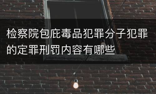 检察院包庇毒品犯罪分子犯罪的定罪刑罚内容有哪些