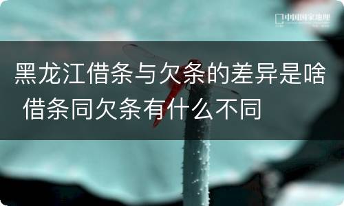 黑龙江借条与欠条的差异是啥 借条同欠条有什么不同