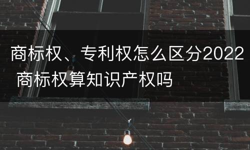 商标权、专利权怎么区分2022 商标权算知识产权吗