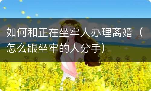 如何和正在坐牢人办理离婚（怎么跟坐牢的人分手）