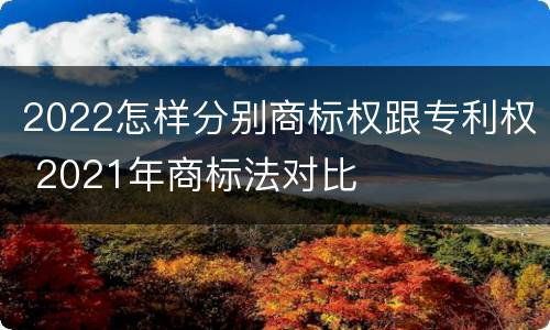 2022怎样分别商标权跟专利权 2021年商标法对比