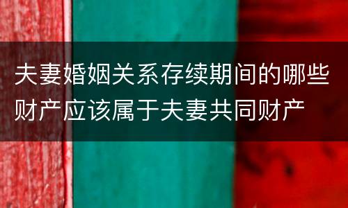 夫妻婚姻关系存续期间的哪些财产应该属于夫妻共同财产