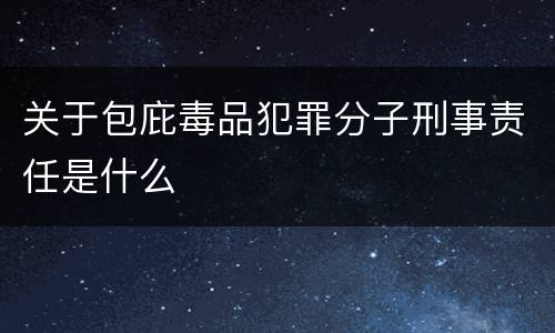 关于包庇毒品犯罪分子刑事责任是什么