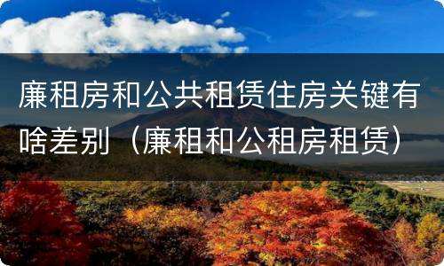 廉租房和公共租赁住房关键有啥差别（廉租和公租房租赁）