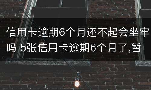 信用卡逾期6个月还不起会坐牢吗 5张信用卡逾期6个月了,暂时没能力还