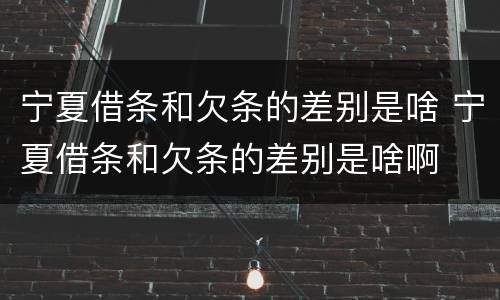 宁夏借条和欠条的差别是啥 宁夏借条和欠条的差别是啥啊