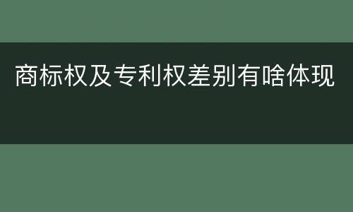 商标权及专利权差别有啥体现