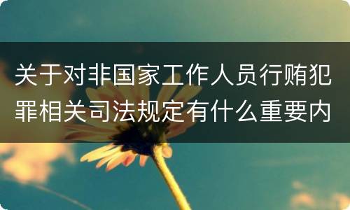 关于对非国家工作人员行贿犯罪相关司法规定有什么重要内容