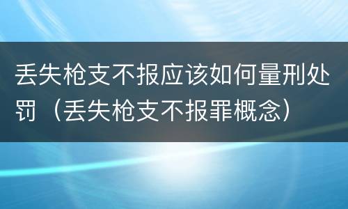 丢失枪支不报应该如何量刑处罚（丢失枪支不报罪概念）