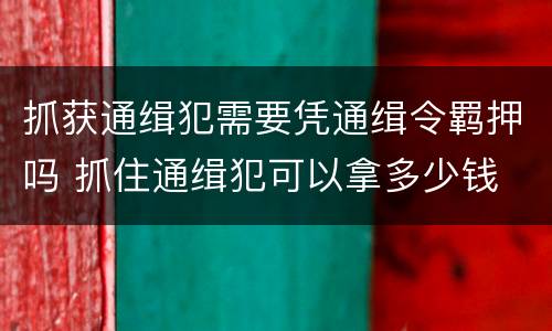 抓获通缉犯需要凭通缉令羁押吗 抓住通缉犯可以拿多少钱