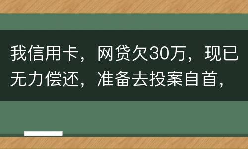 我信用卡，网贷欠30万，现已无力偿还，准备去投案自首，大概会判多少年