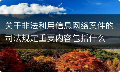 关于非法利用信息网络案件的司法规定重要内容包括什么