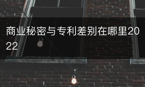 商业秘密与专利差别在哪里2022