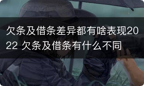 欠条及借条差异都有啥表现2022 欠条及借条有什么不同