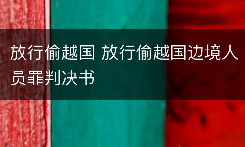 放行偷越国 放行偷越国边境人员罪判决书