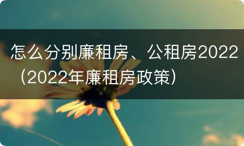 怎么分别廉租房、公租房2022（2022年廉租房政策）