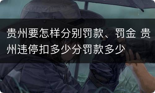 贵州要怎样分别罚款、罚金 贵州违停扣多少分罚款多少