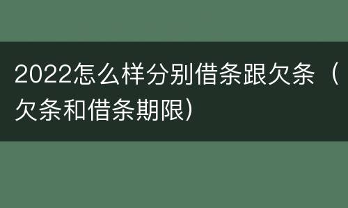 2022怎么样分别借条跟欠条（欠条和借条期限）