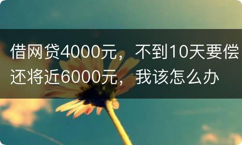 借网贷4000元，不到10天要偿还将近6000元，我该怎么办