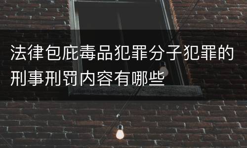 法律包庇毒品犯罪分子犯罪的刑事刑罚内容有哪些