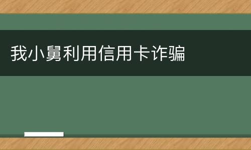 我小舅利用信用卡诈骗