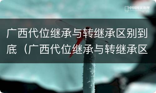 广西代位继承与转继承区别到底（广西代位继承与转继承区别到底有多大）