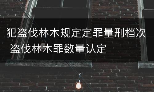 最高院对非国家工作人员行贿罪相关解释有什么主要规定