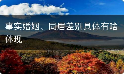 事实婚姻、同居差别具体有啥体现