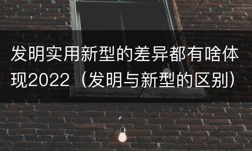 发明实用新型的差异都有啥体现2022（发明与新型的区别）