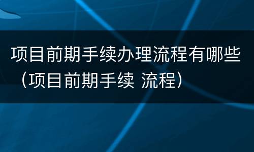 项目前期手续办理流程有哪些（项目前期手续 流程）