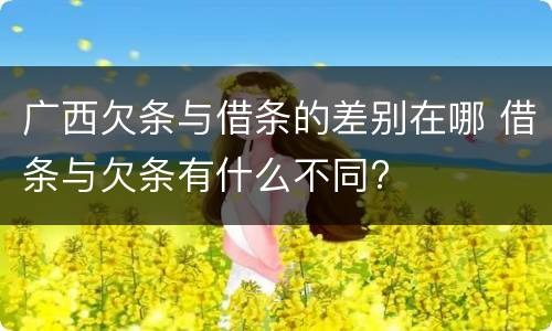 广西欠条与借条的差别在哪 借条与欠条有什么不同?