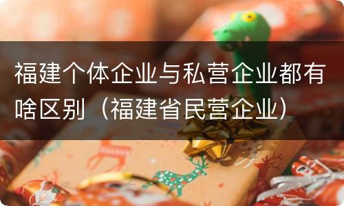 福建个体企业与私营企业都有啥区别（福建省民营企业）