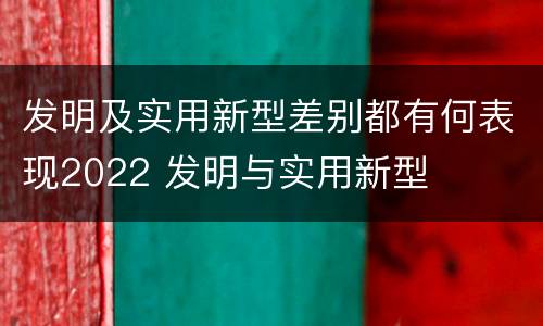 发明及实用新型差别都有何表现2022 发明与实用新型