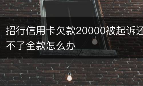 招行信用卡欠款20000被起诉还不了全款怎么办