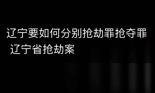 辽宁要如何分别抢劫罪抢夺罪 辽宁省抢劫案